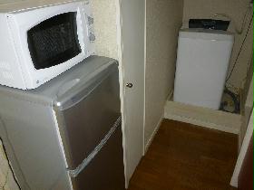 Other. microwave, refrigerator, There is also a washing machine