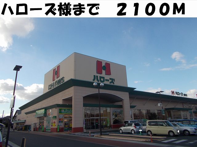 Supermarket. Hellos like to (super) 2100m