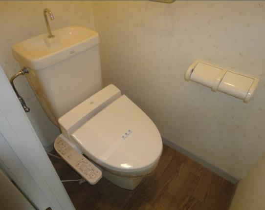 Toilet. ( ・ ∀ ・ )( ・ ∀ ・ )( ・ ∀ ・ )