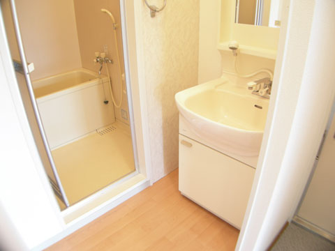 Washroom. You can also smooth the morning of preparation with shampoo dresser.