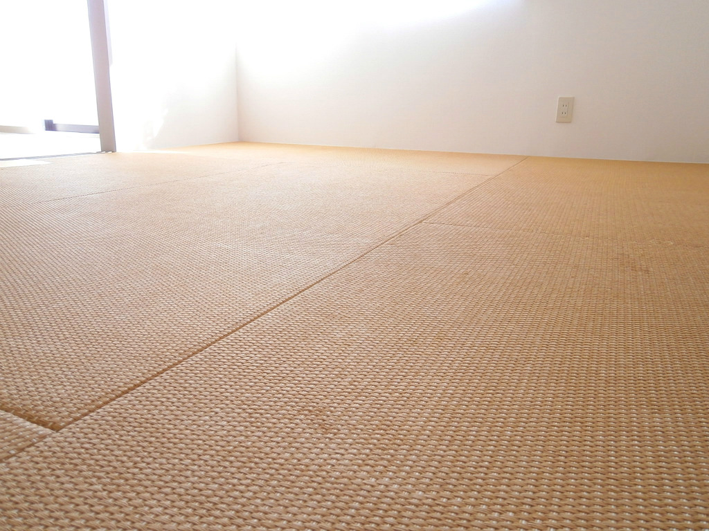 Living and room. Japanese-style modern tatami