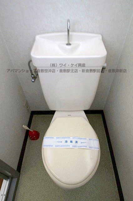 Toilet. Usually while clean toilets