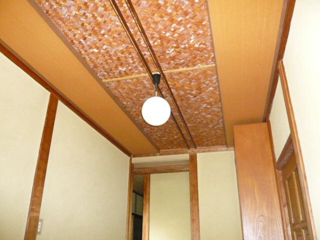 Other. 1F plates ceiling