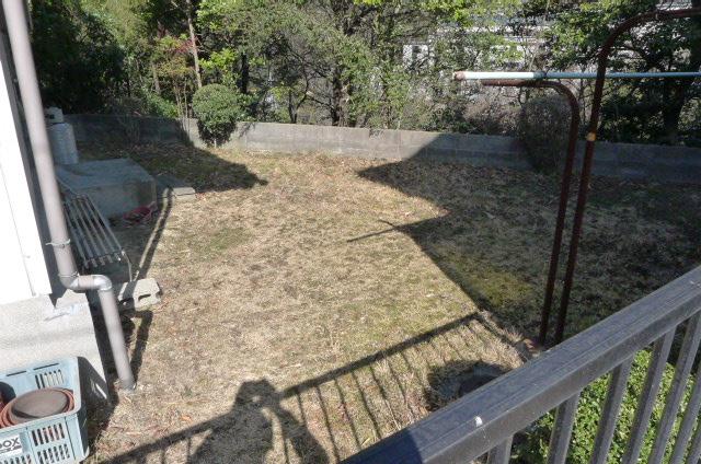 Garden. North side space