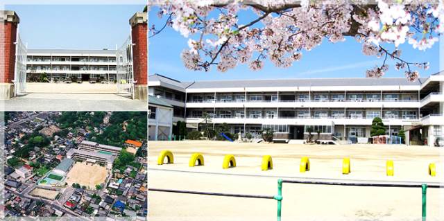Primary school. 493m until hayashima stand Hayashima elementary school (elementary school)
