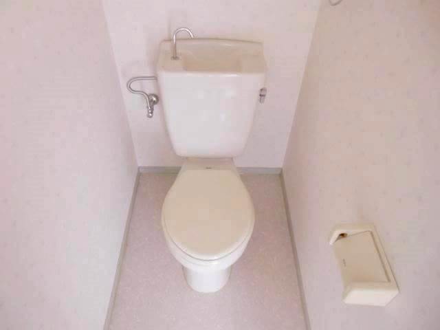 Toilet. Flush toilet