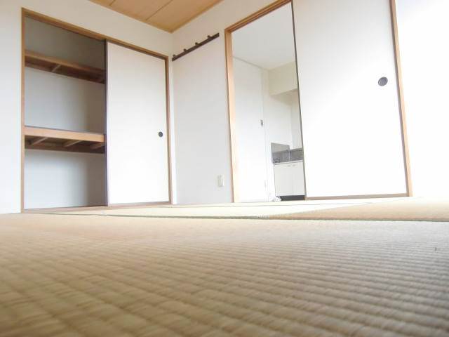 Other room space. Plenty of storage with a Japanese-style room!