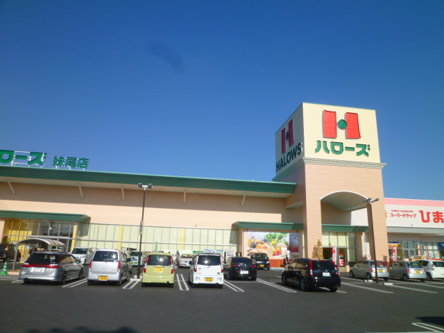 Supermarket. Hellos Seno to the store (supermarket) 3341m