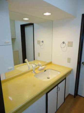 Wash basin, toilet. Indoor (July 2012) shooting