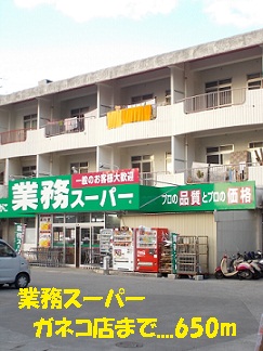 Supermarket. Business super Ganeko store up to (super) 650m
