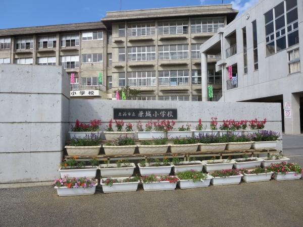 Primary school. It will be the location of the 1.4km from the 1400m home to elementary school. Junior high school is also located in the front of the eye