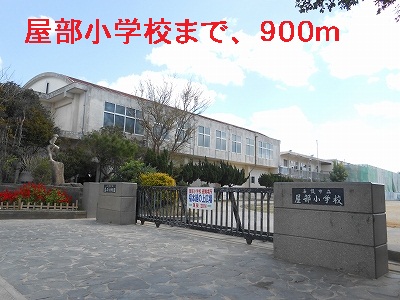 Primary school. Bush until the elementary school (elementary school) 900m