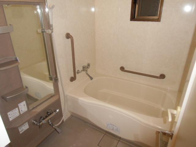 Bathroom. Indoor (11 May 2013) Shooting