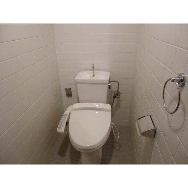 Toilet. Sanitary toilet