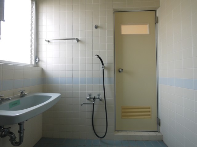 Bath. Bright shower room