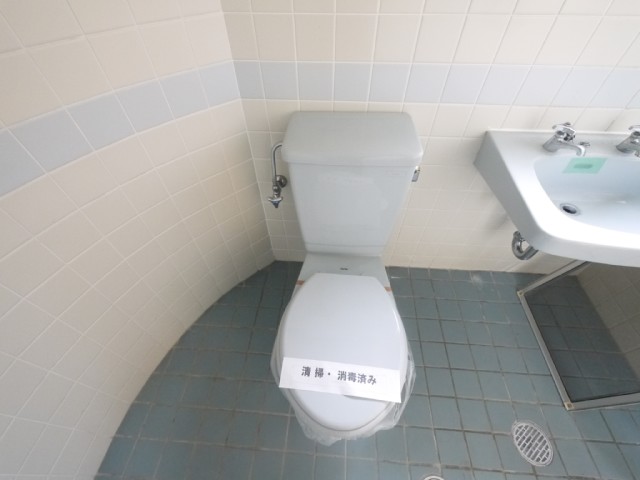 Toilet. Toilet