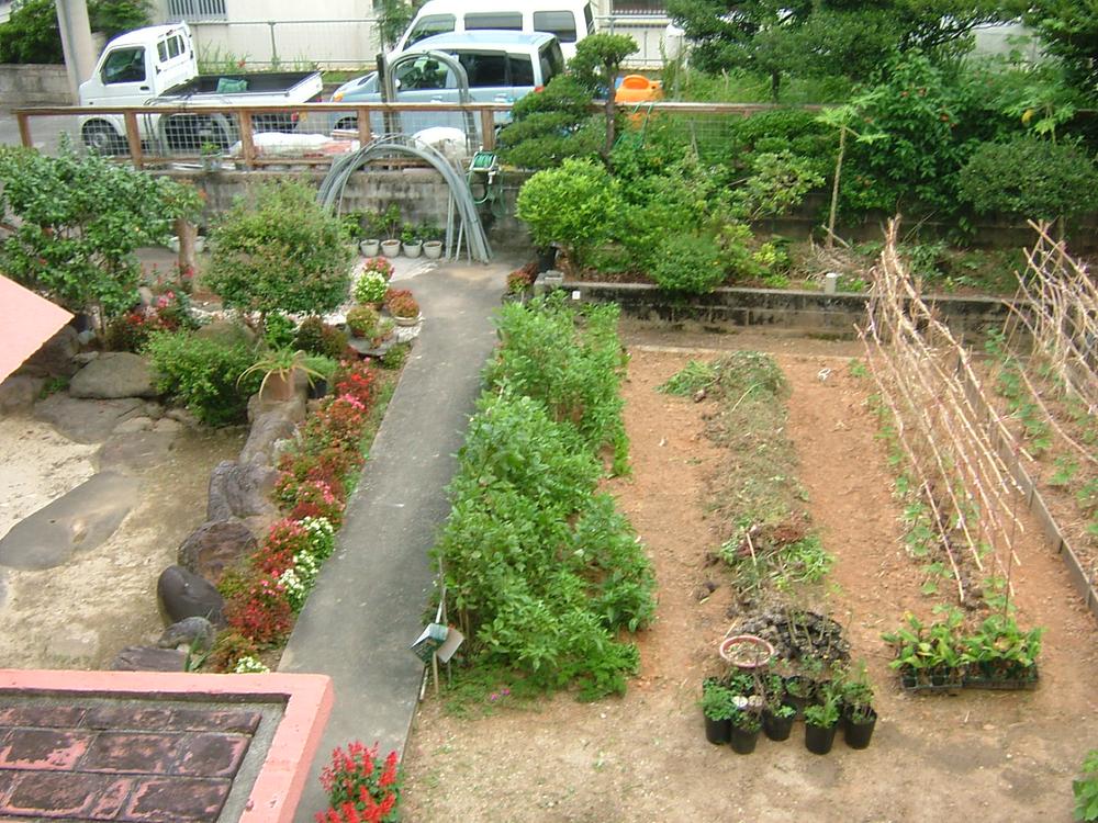 Garden. Local (July 2013) Shooting