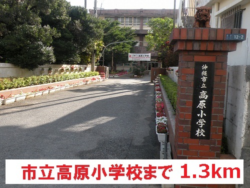 Primary school. 1300m plateau until the elementary school (elementary school)