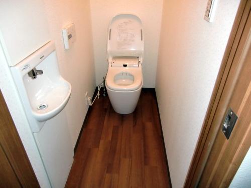 Toilet. Image is a photograph.