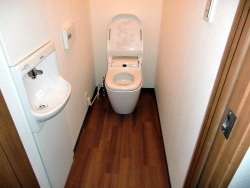 Toilet. Image is a photograph.