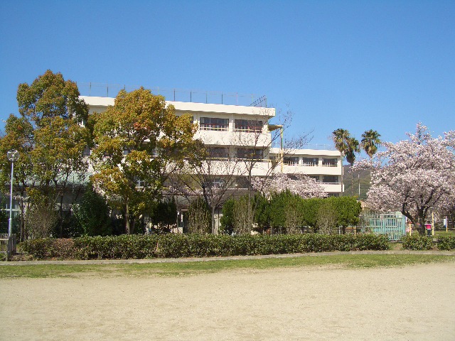 Primary school. 700m Izumi to elementary school (elementary school)