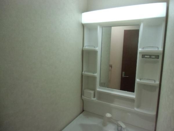 Wash basin, toilet. Directing the room is fine basin space