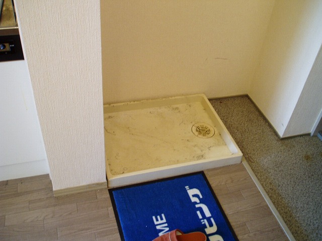 Entrance. There is indoor washing machine Storage!