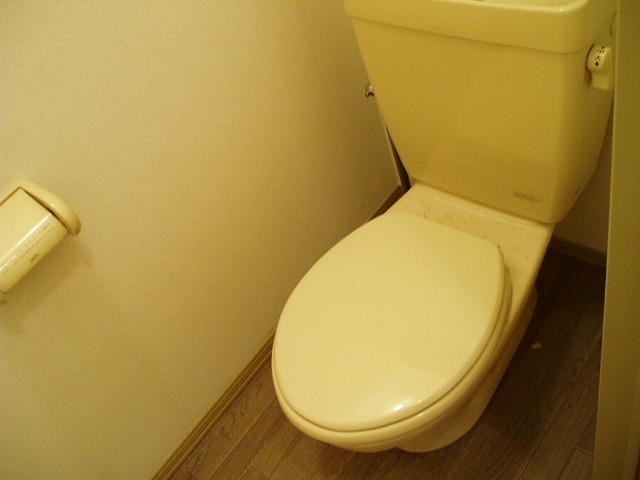 Toilet. Toilet spacious!