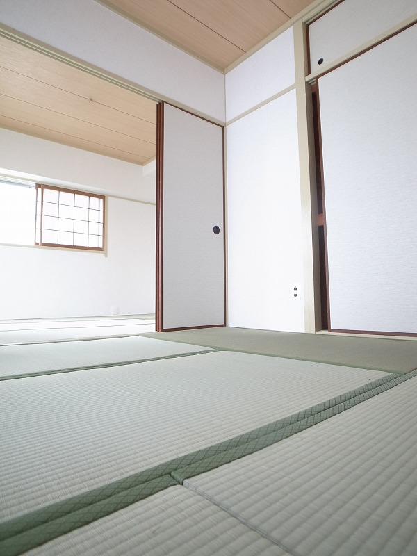 Other room space. It feels good and plops itself down ~ tatami ~