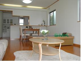 Same specifications photos (living). Construction example photo