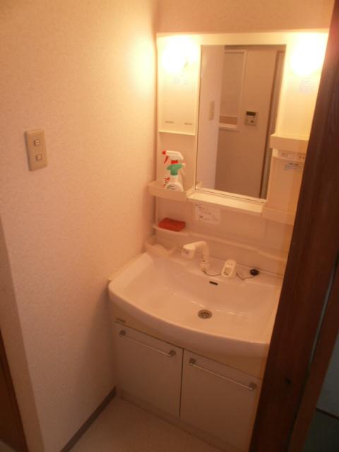 Wash basin, toilet. Indoor (11 May 2013) Shooting Shampoo dresser