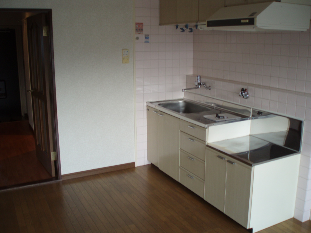 Kitchen. Kitchen spacious! 