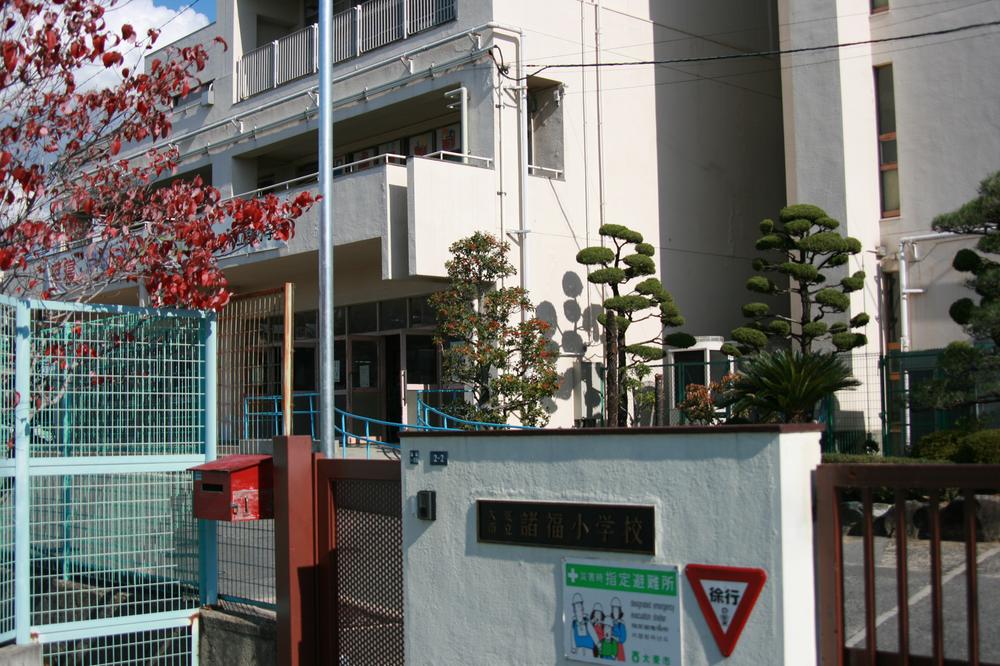 Primary school. It is Daito Municipal Morofuku elementary school within walking distance.