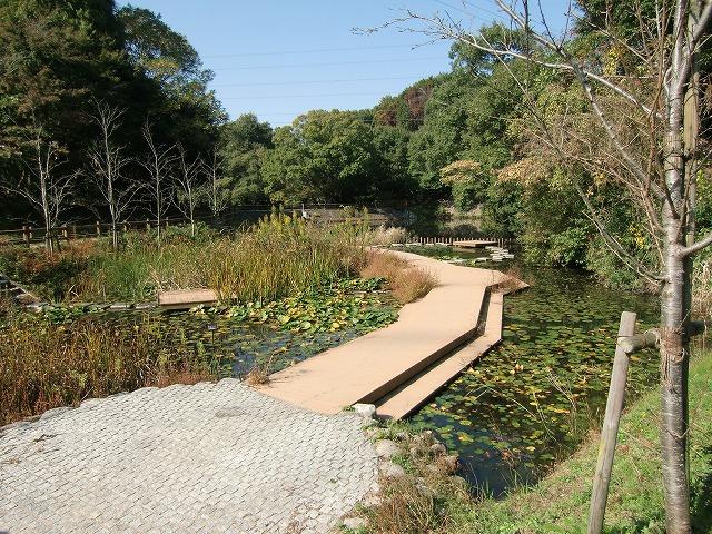 Other Environmental Photo. Why do not oysters good sweat at the facility to play in the 1000m nature to Daito City Youth Outdoor Activity Center! !
