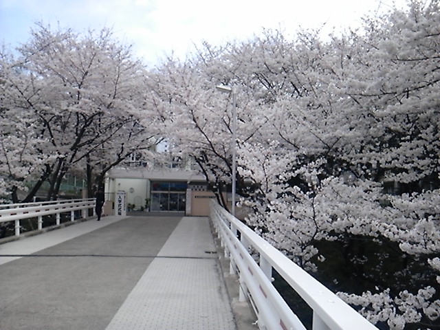 high school ・ College. Nissin high school (high school ・ NCT) to 2336m