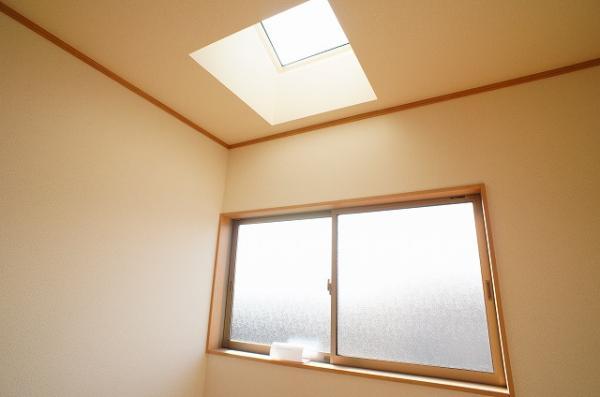 Other introspection. Western-style + with skylight