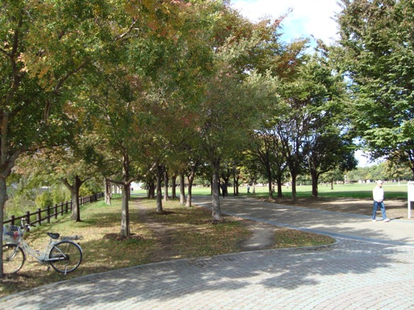 park. Fukakita to green space (park) 1153m