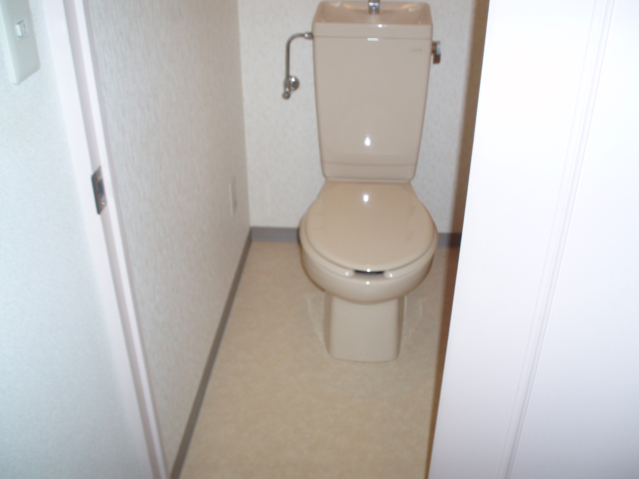 Toilet. Toilet spacious!