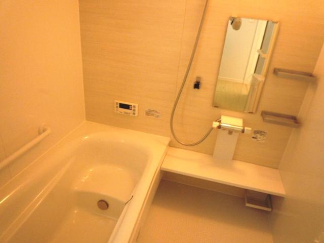 Other. The company example of construction (bathroom)