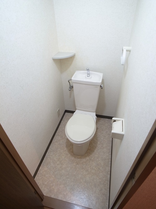 Toilet. There are some places storage. 