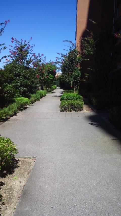 Other common areas. Common areas