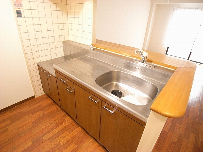 Kitchen. Counter Kitchen