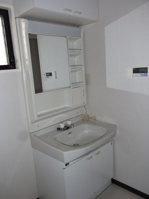 Washroom. Bathroom vanity