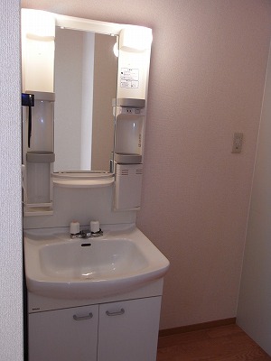Washroom. Bathroom vanity