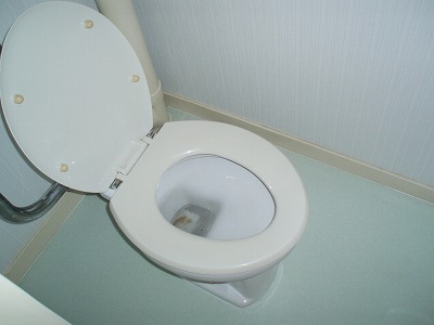 Toilet. Toilet to settle