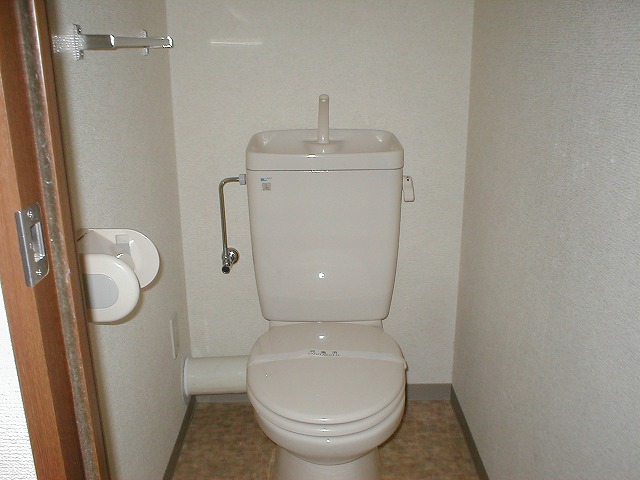 Toilet. Clean toilet! 