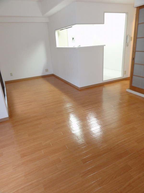 Living and room. LDK is the biggest attraction.