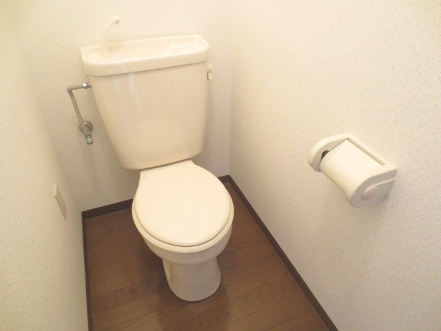 Toilet. It's clean toilet