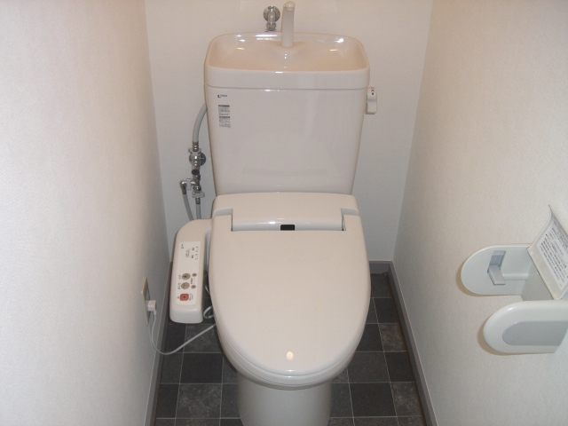 Toilet. It comes with a bidet in the toilet