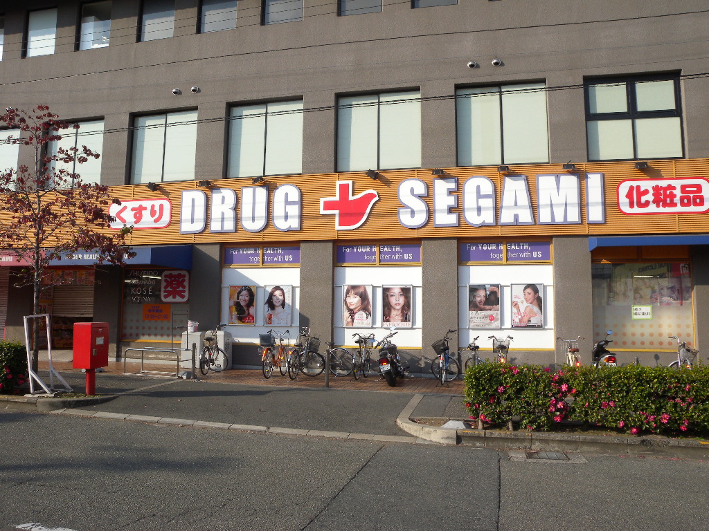 Dorakkusutoa. Drag Segami Fujiidera shop 1384m until (drugstore)